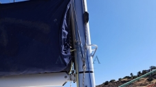 Leopard 40